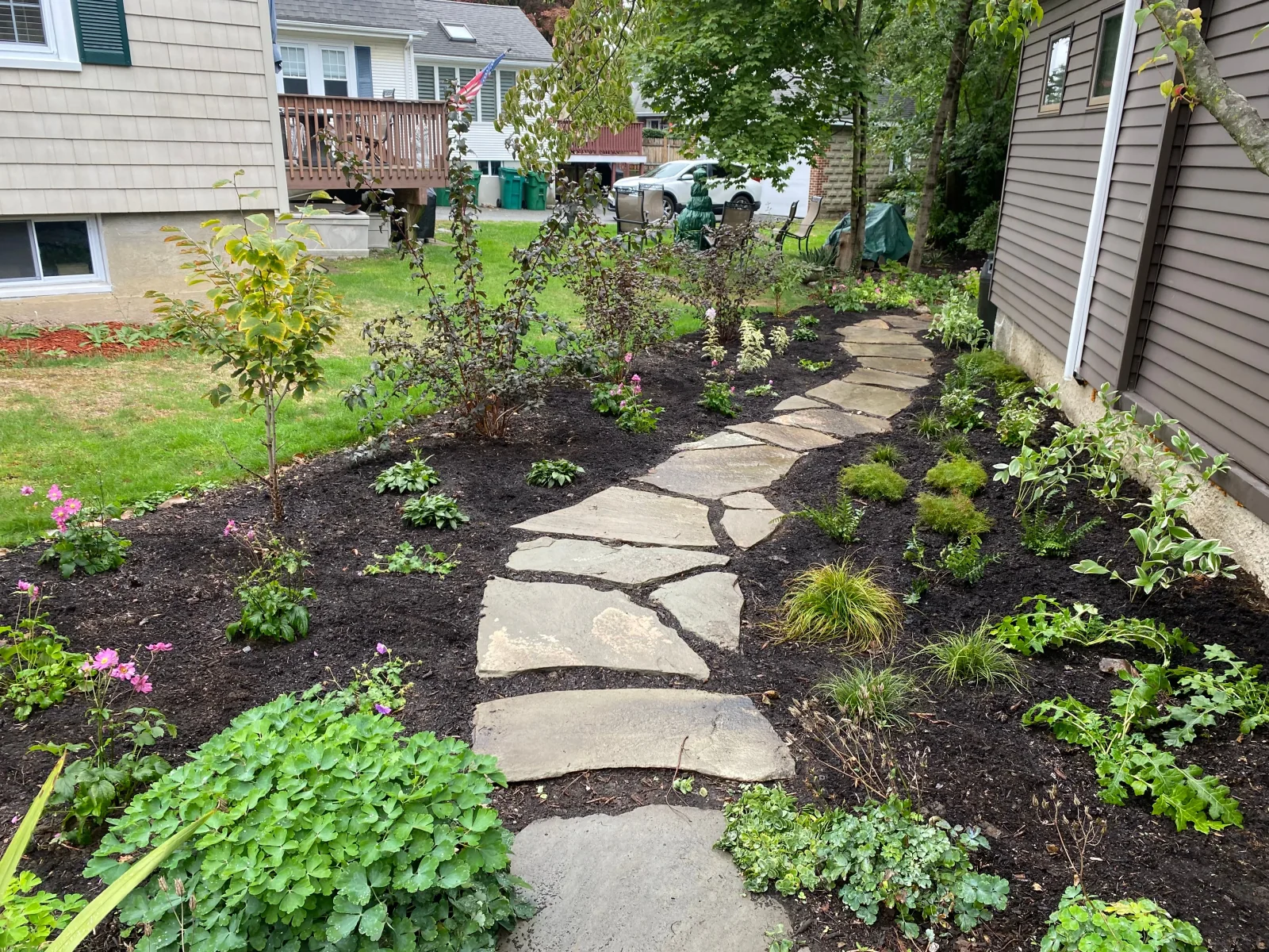 Pollinator garden in bloom