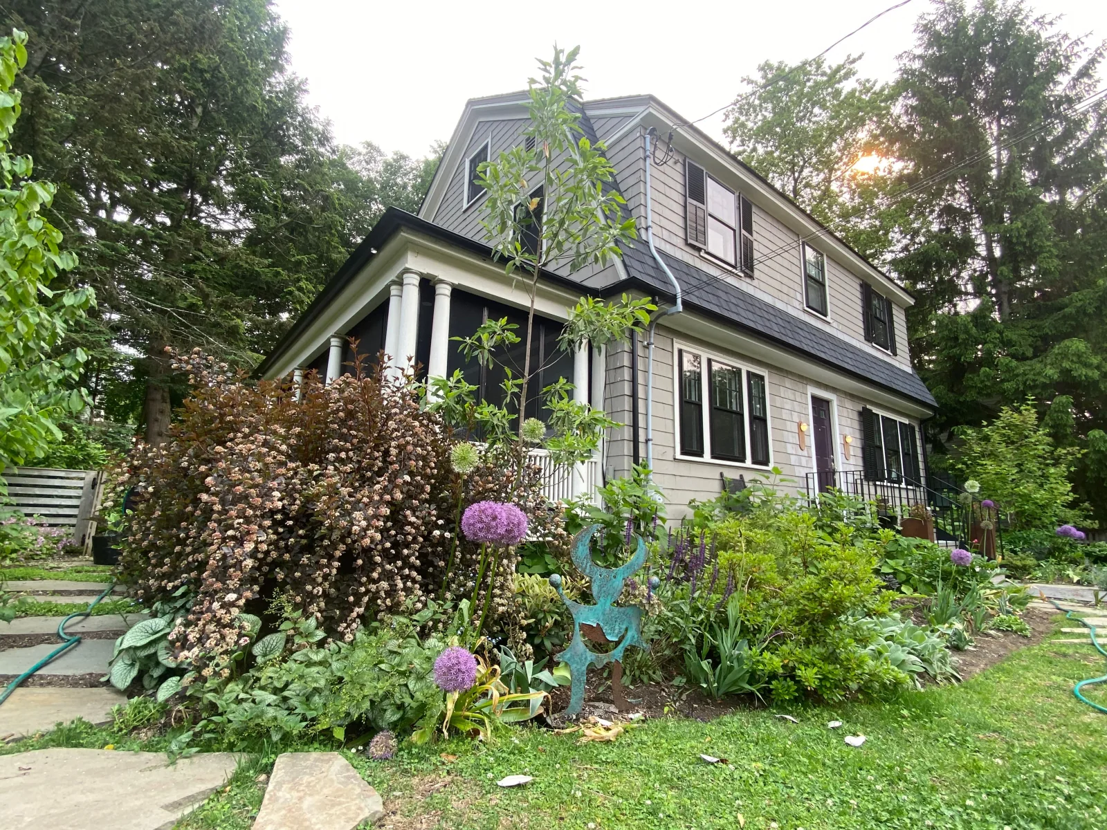 Pollinator garden in bloom