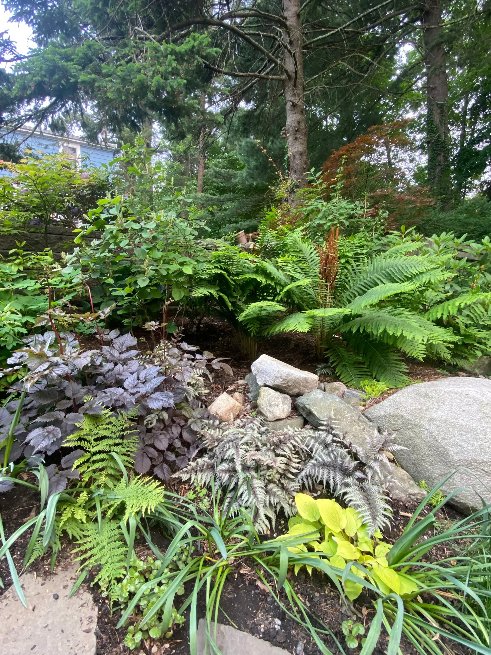 Pollinator garden in bloom