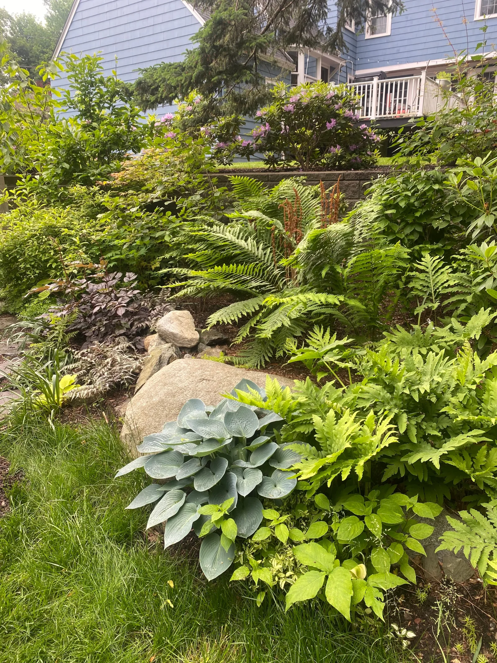Pollinator garden in bloom