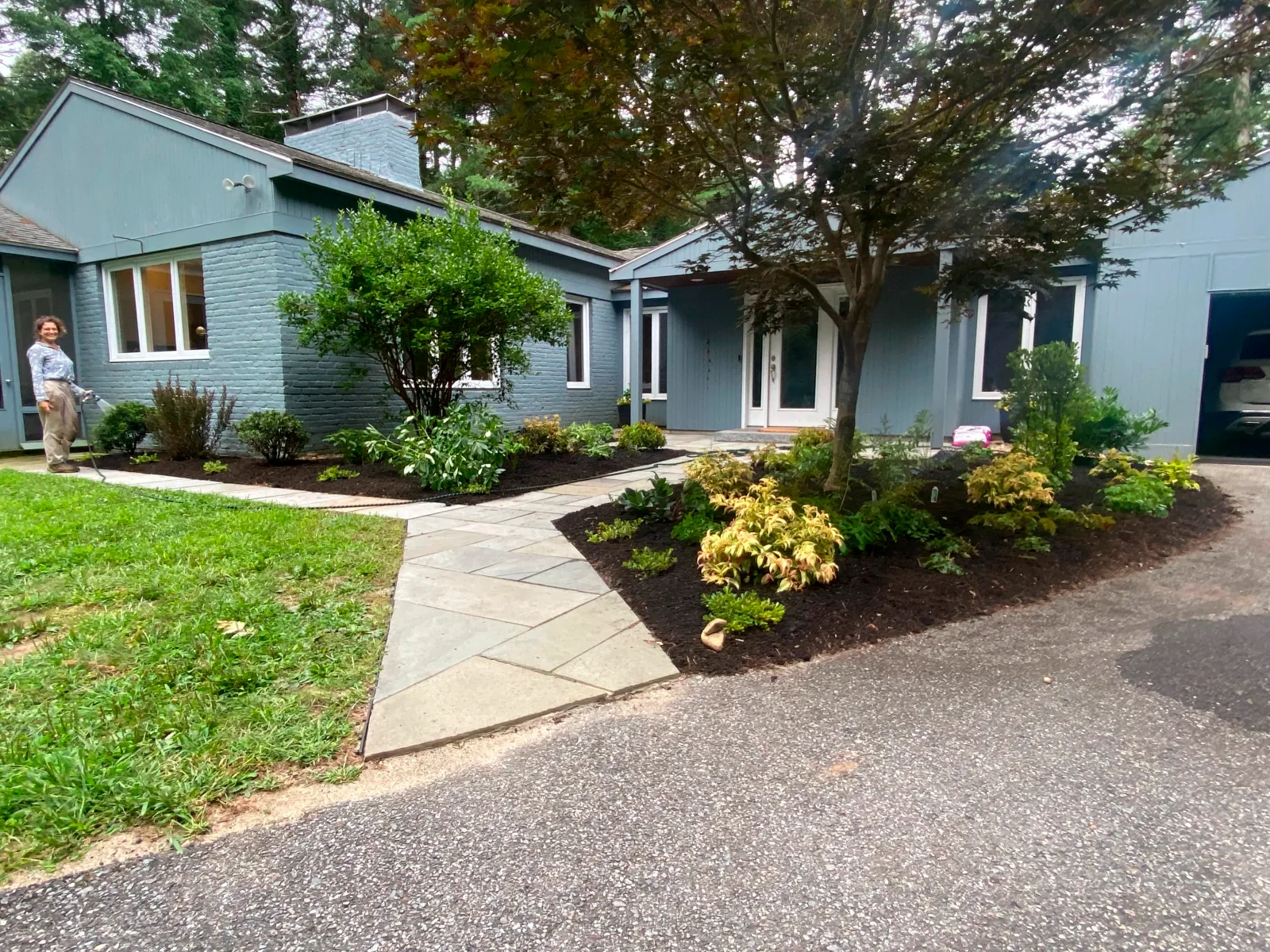Pollinator garden in bloom