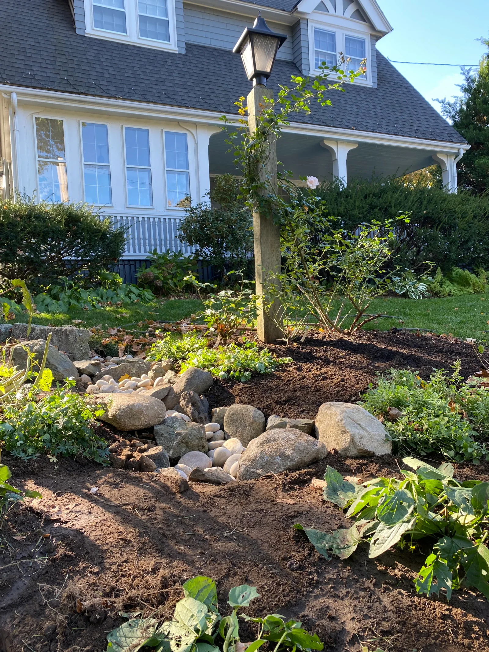 A bioretention rain garden of native plantings beside a shingled house