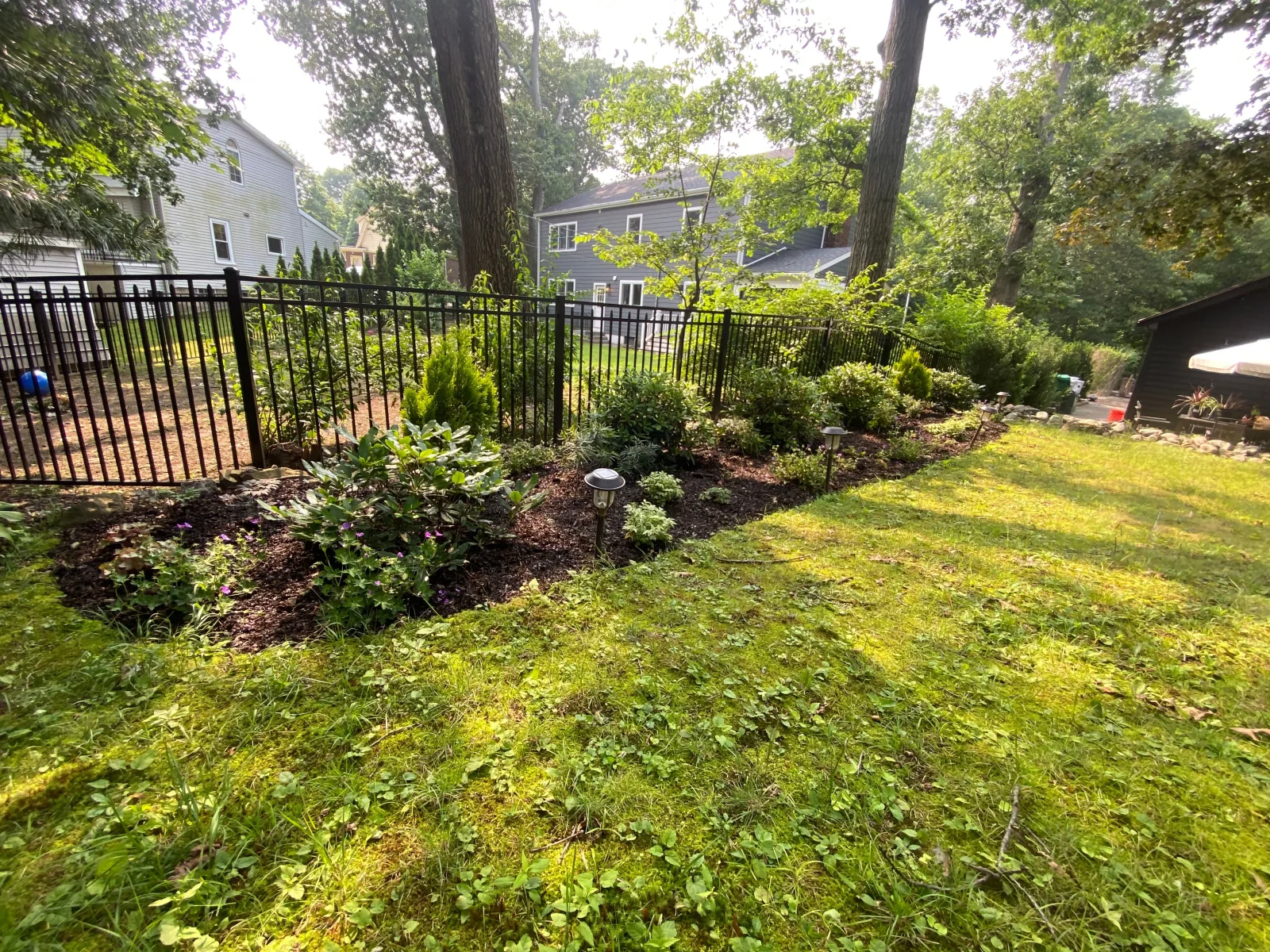 Shade garden planting