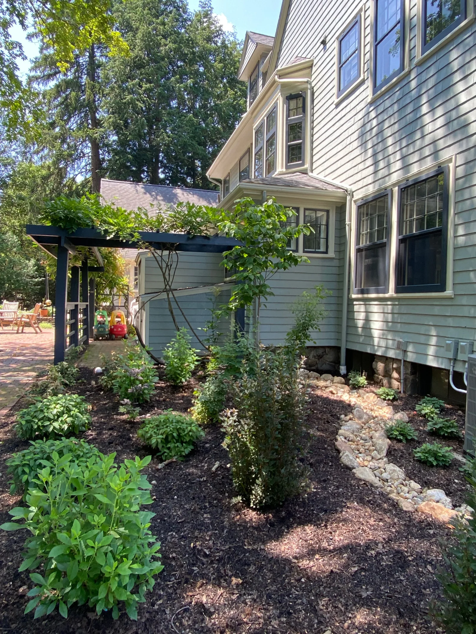 Shade garden planting