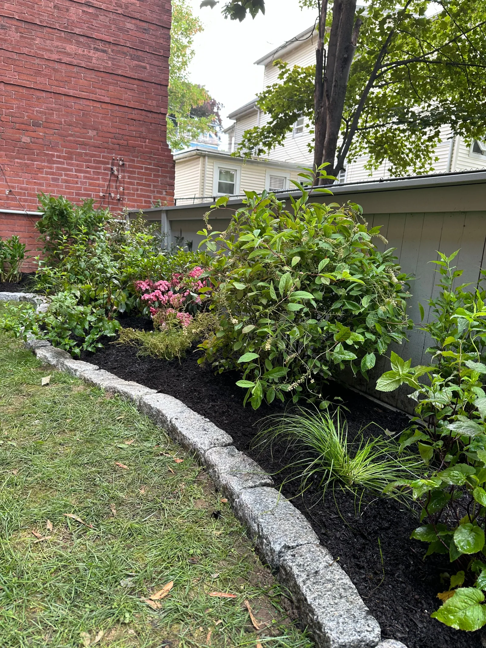 Shade garden planting
