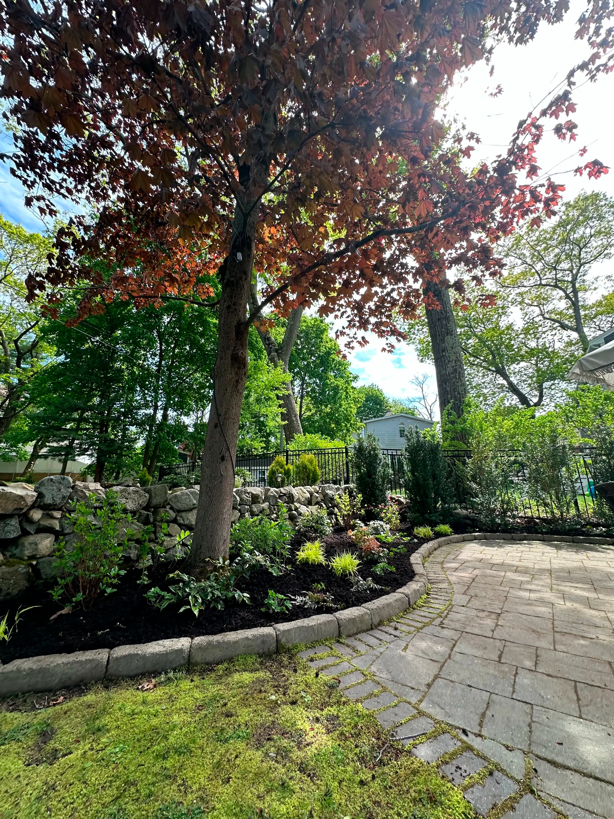 Shade garden planting