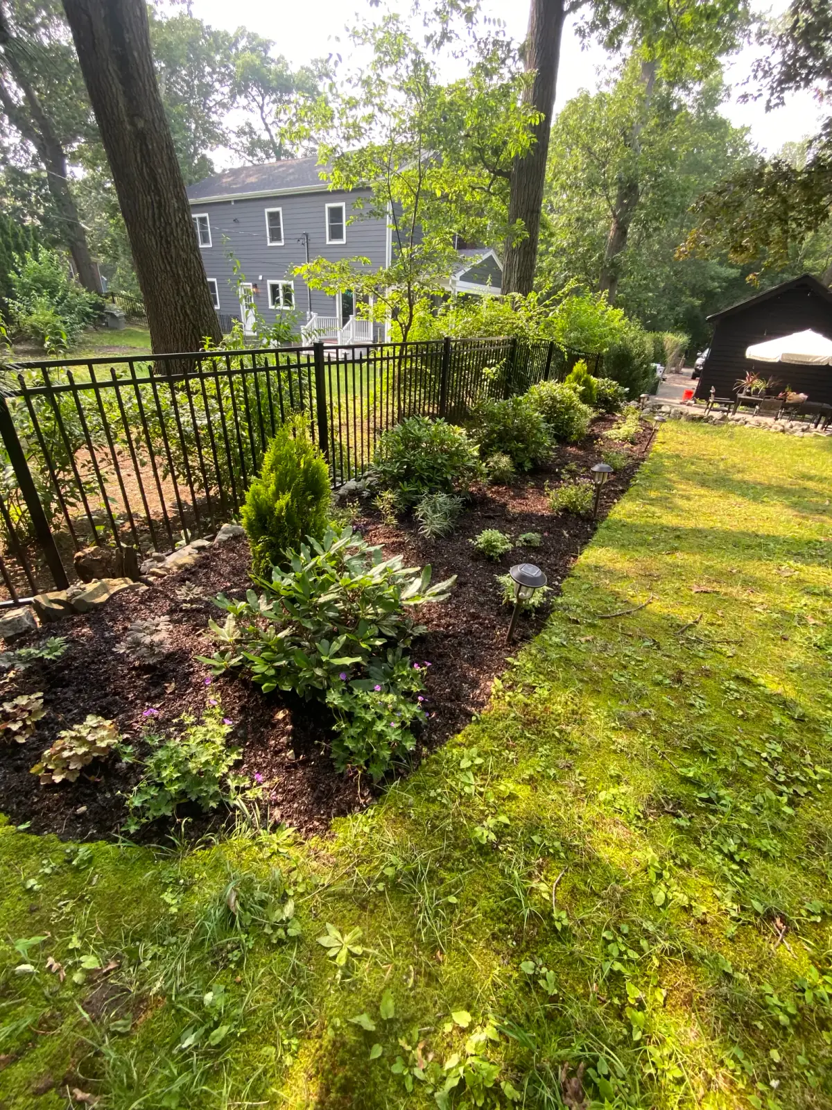 Wide view of the shady oasis