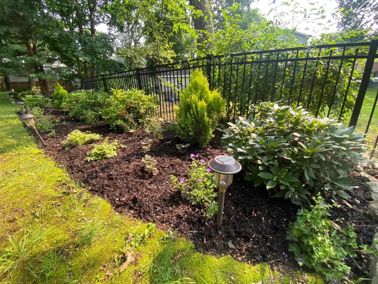 Shade garden detail