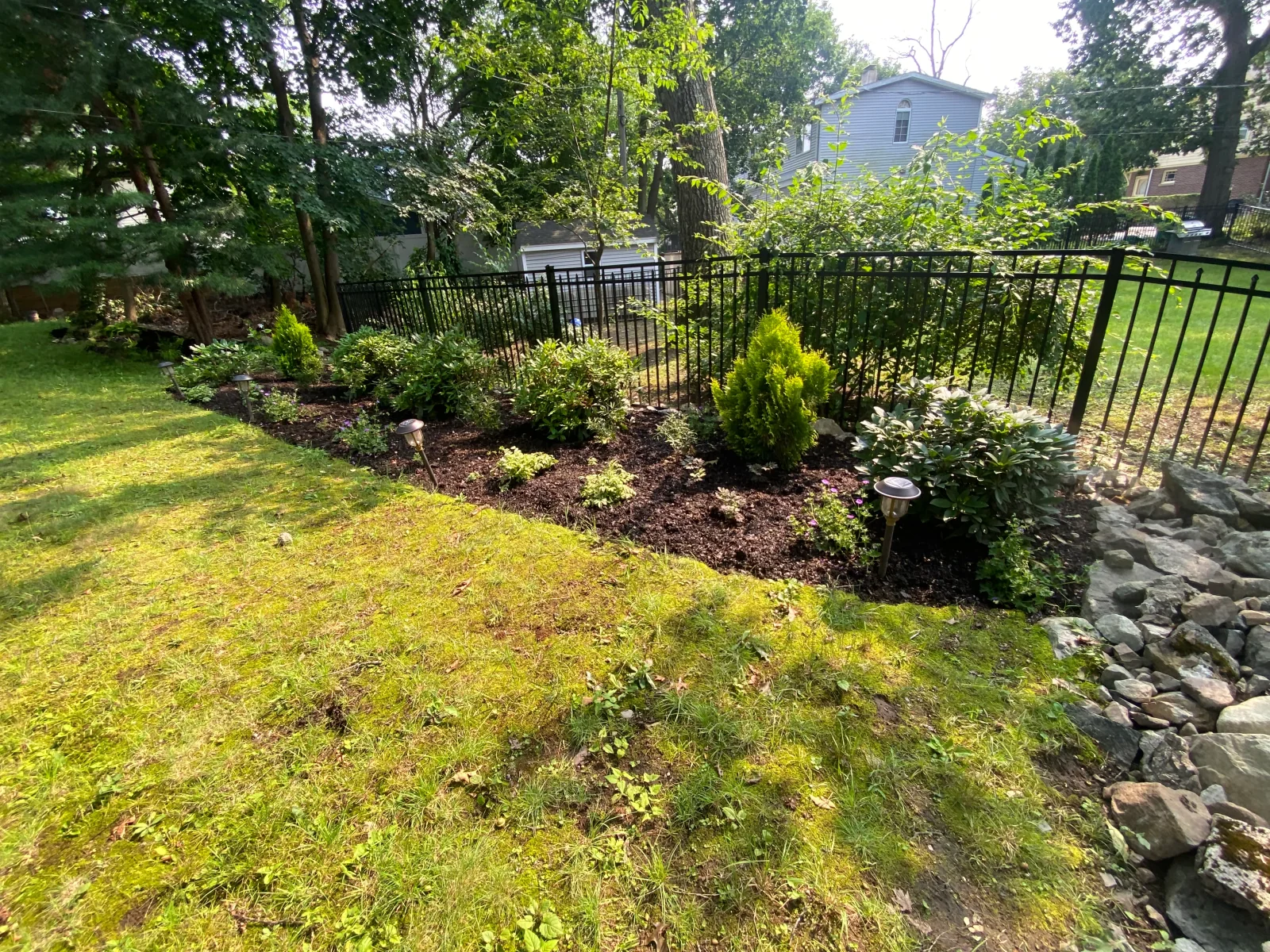 A shaded garden of ferns and native groundcovers along a fieldstone wall and brick path