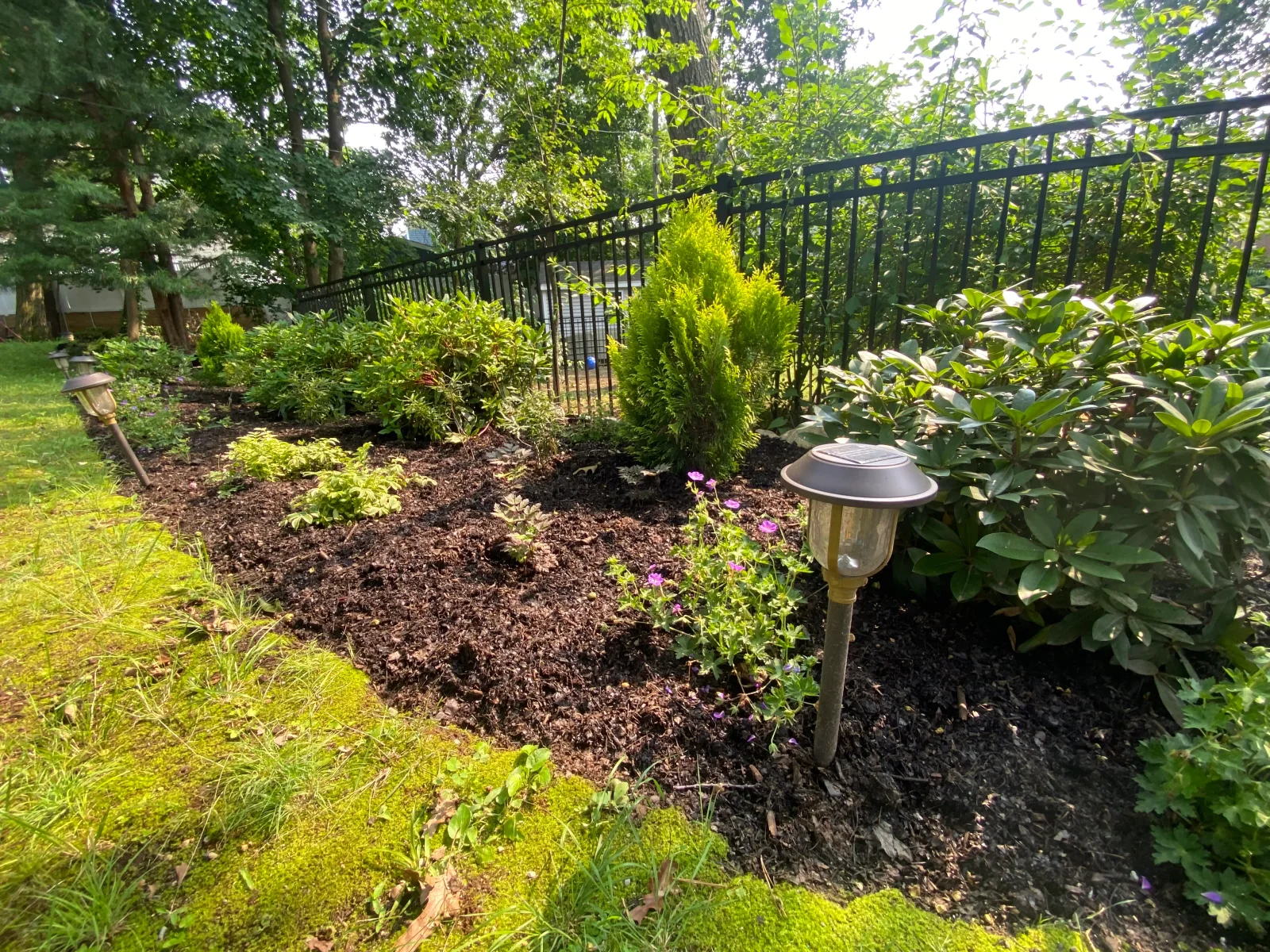 A shaded garden of ferns and native groundcovers along a fieldstone wall and brick path