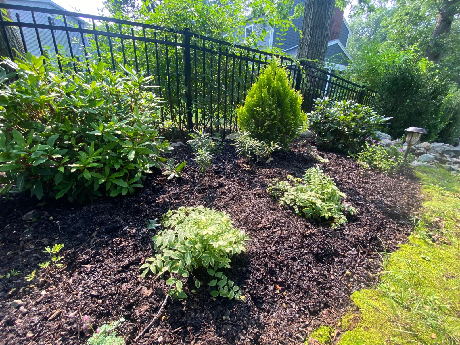 A shaded garden of ferns and native groundcovers along a fieldstone wall and brick path