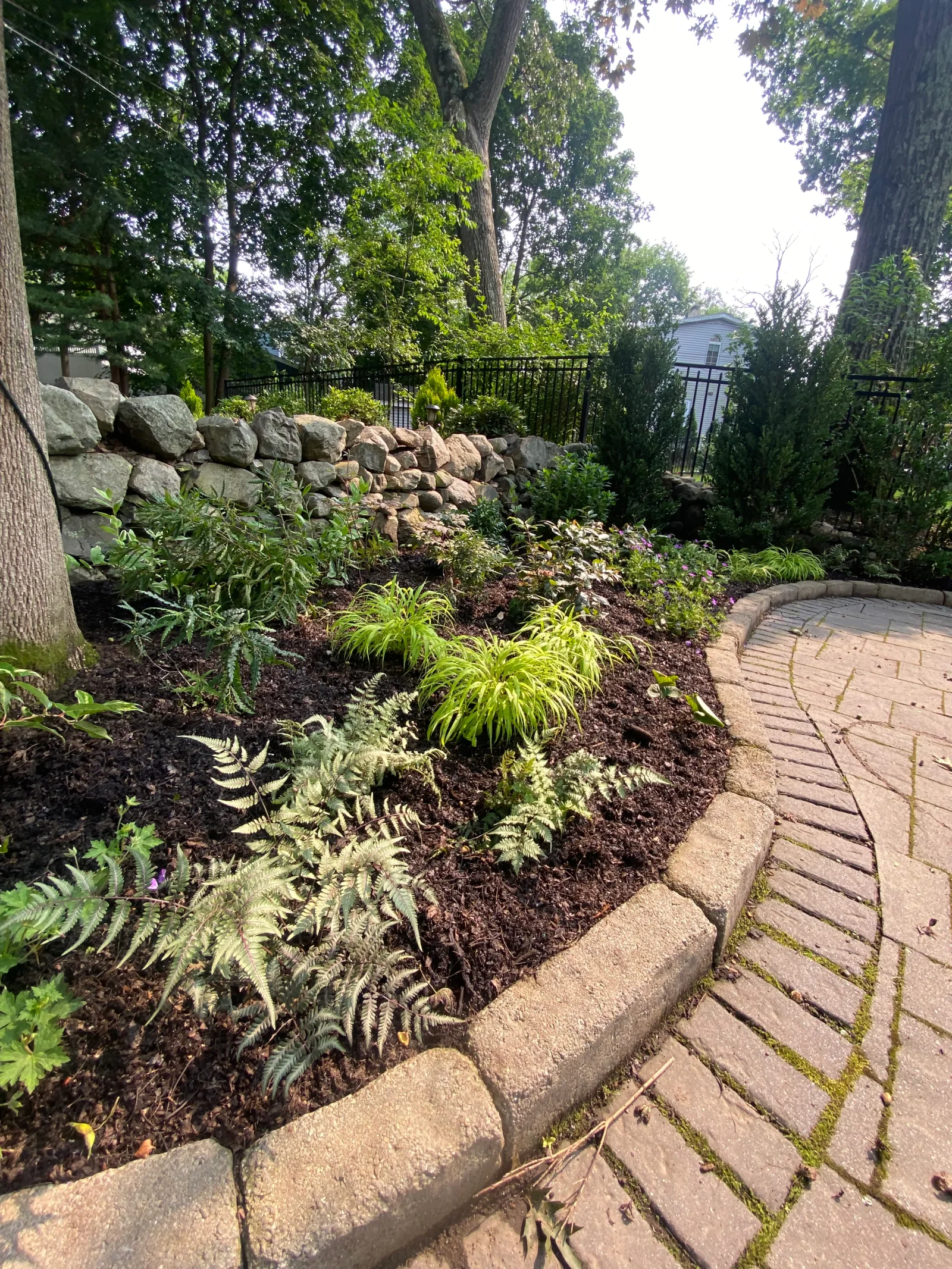 A shaded garden of ferns and native groundcovers along a fieldstone wall and brick path