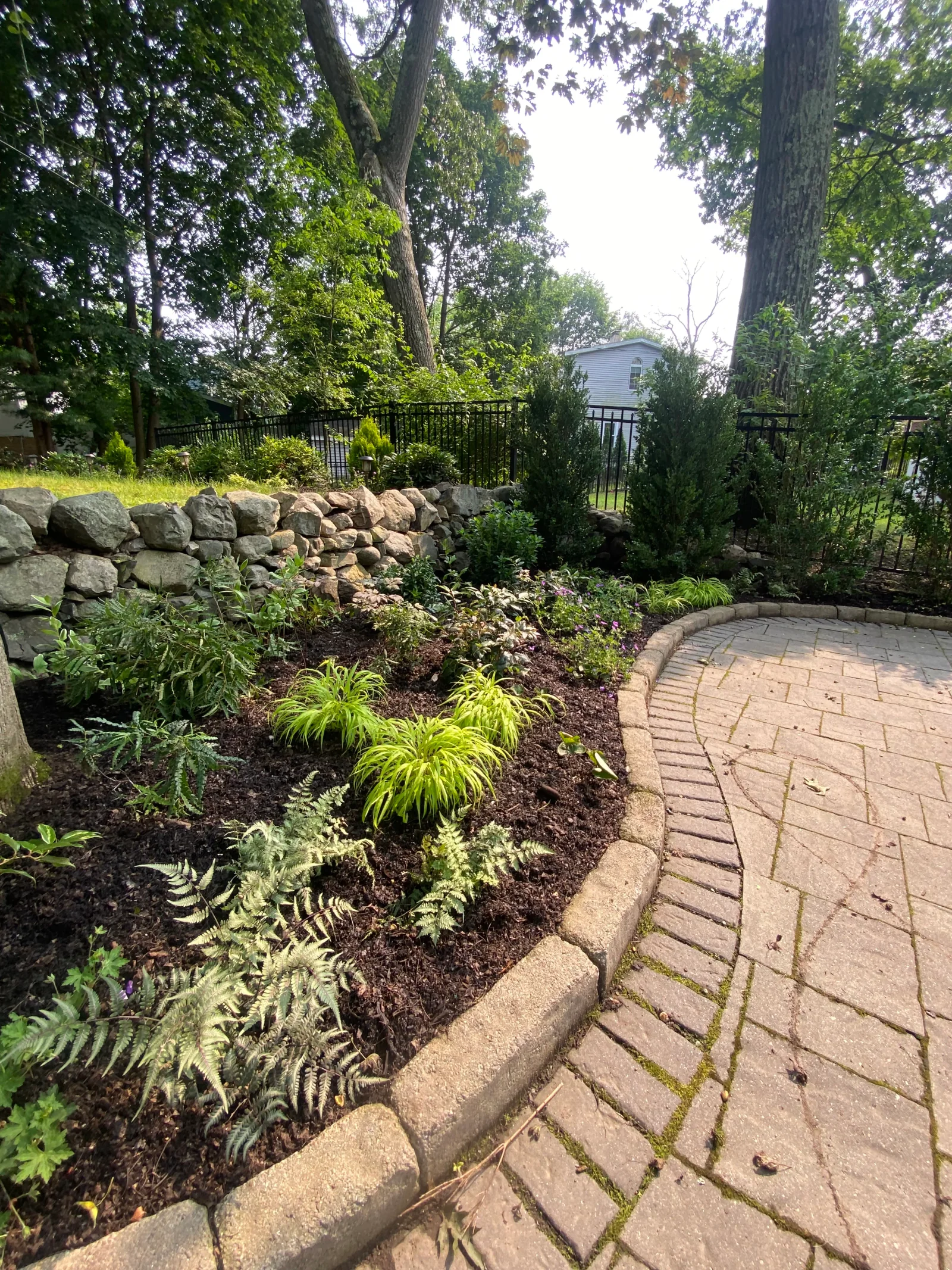 A shaded garden of ferns and native groundcovers along a fieldstone wall and brick path