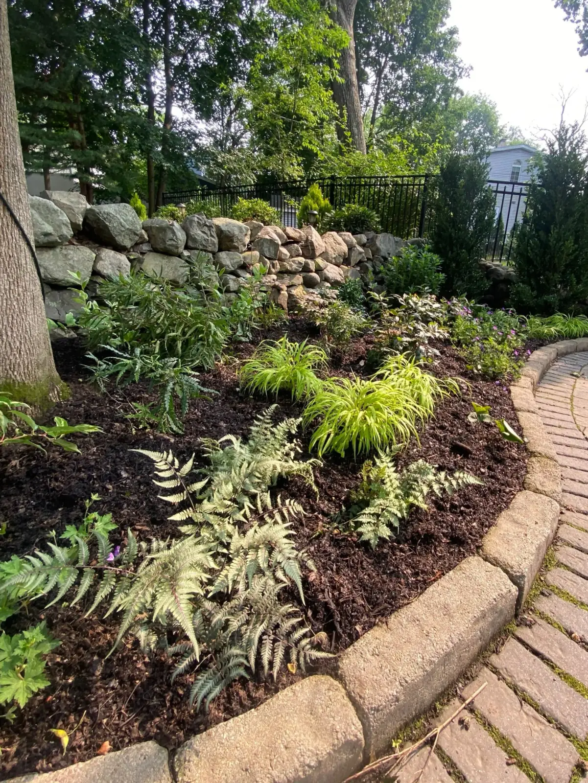 Shady garden oasis with native understory