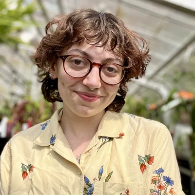 Sophia Zuccala