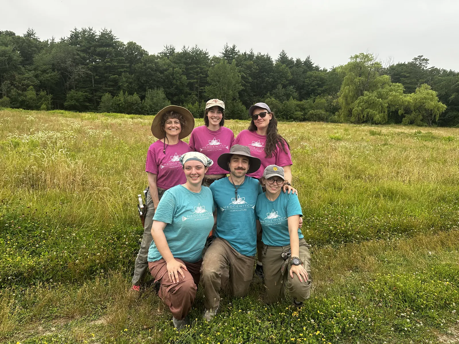 Hedgewitch team working together in a garden