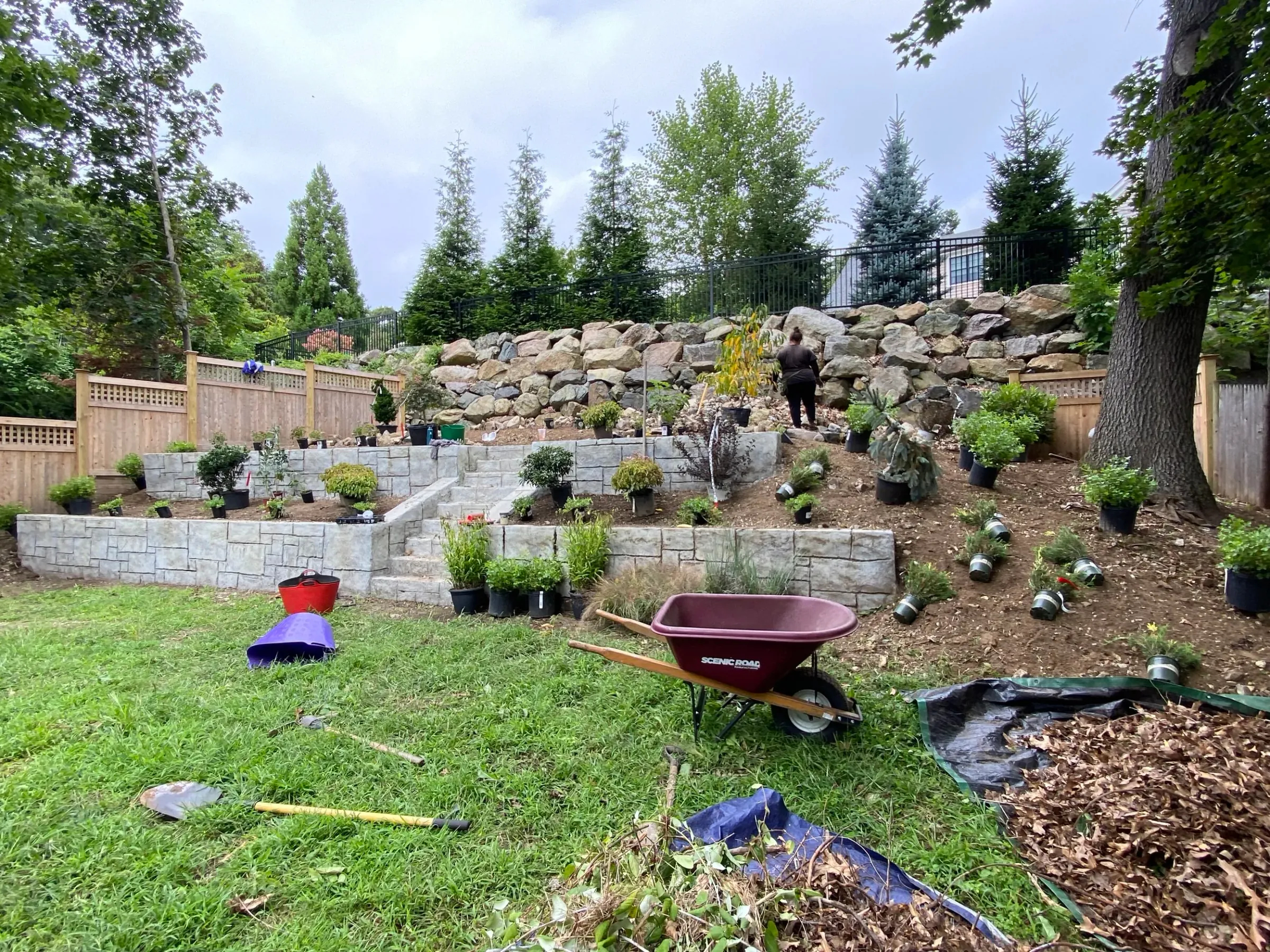 Backyard Redesign garden project